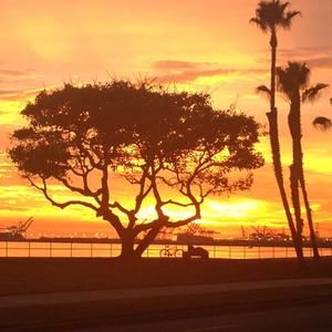 Meet your Posher, Sefton